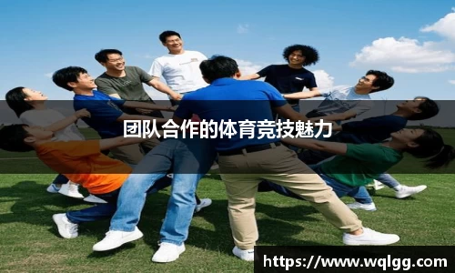 团队合作的体育竞技魅力